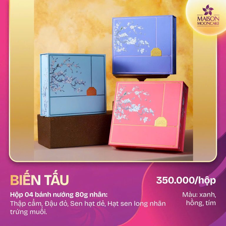Hộp Biến Tấu (Xanh, Hồng, Tím)